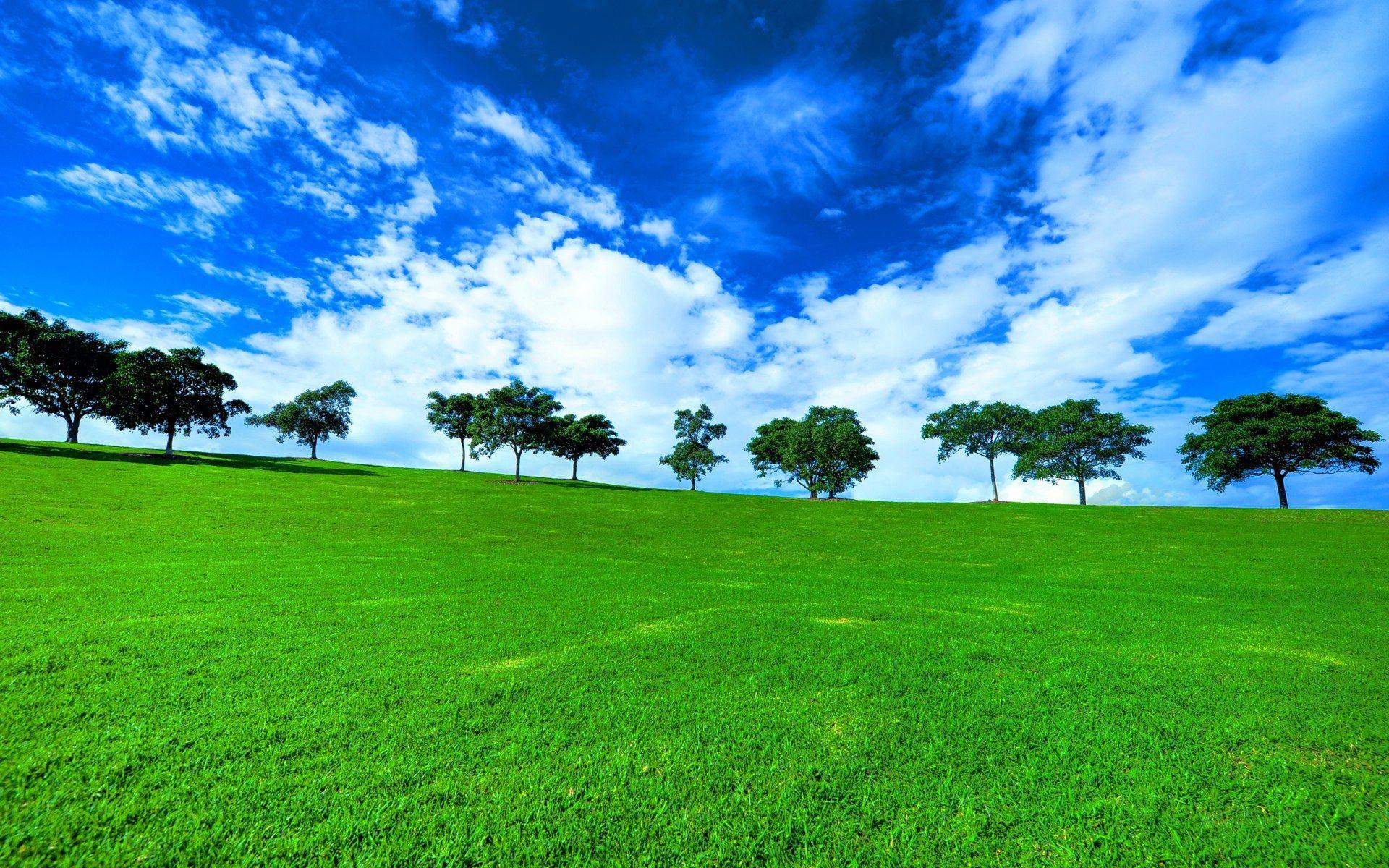 1920x1200 Ground Wallpaper