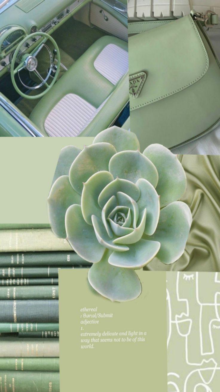 736x1308 Matcha Pistachio Light Green Aesthetic Wallpaper Collage For More!. Green Aesthetic, Wallpaper, Matcha