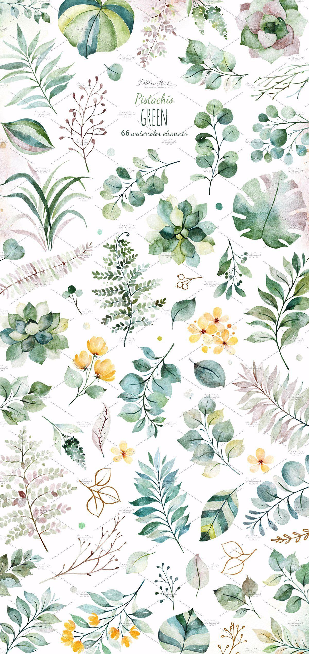 Pistachio Green Wallpapers Top Free Pistachio Green Backgrounds