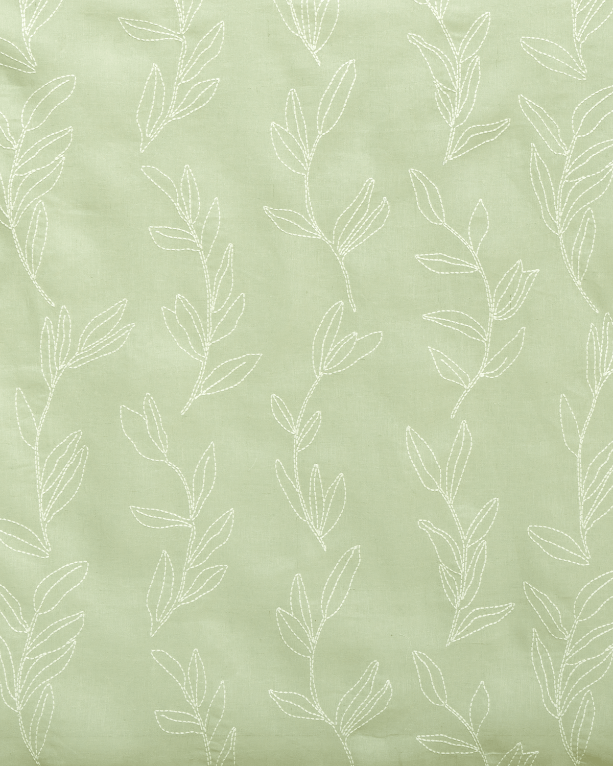 Pistachio Green Wallpapers Top Free Pistachio Green Backgrounds