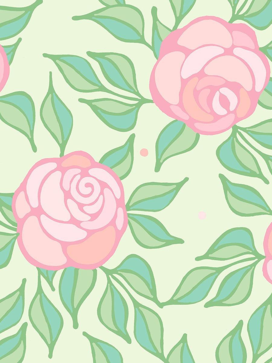 Pistachio Green Wallpapers Top Free Pistachio Green Backgrounds