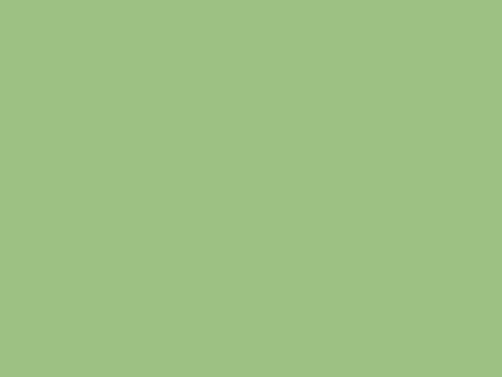 1024x768 Sage Green ( dc183 ) background image