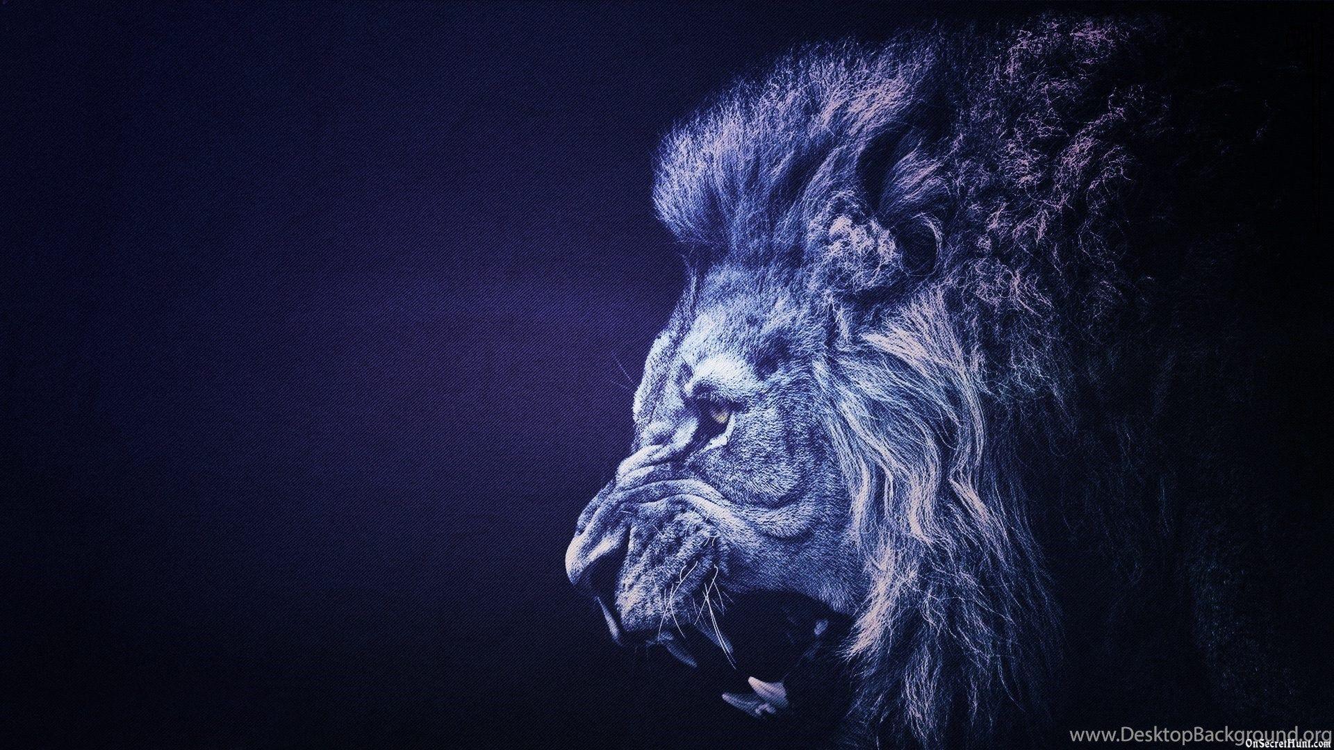 Lions Motivation Ultra HD Wallpapers - Top Free Lions Motivation Ultra ...