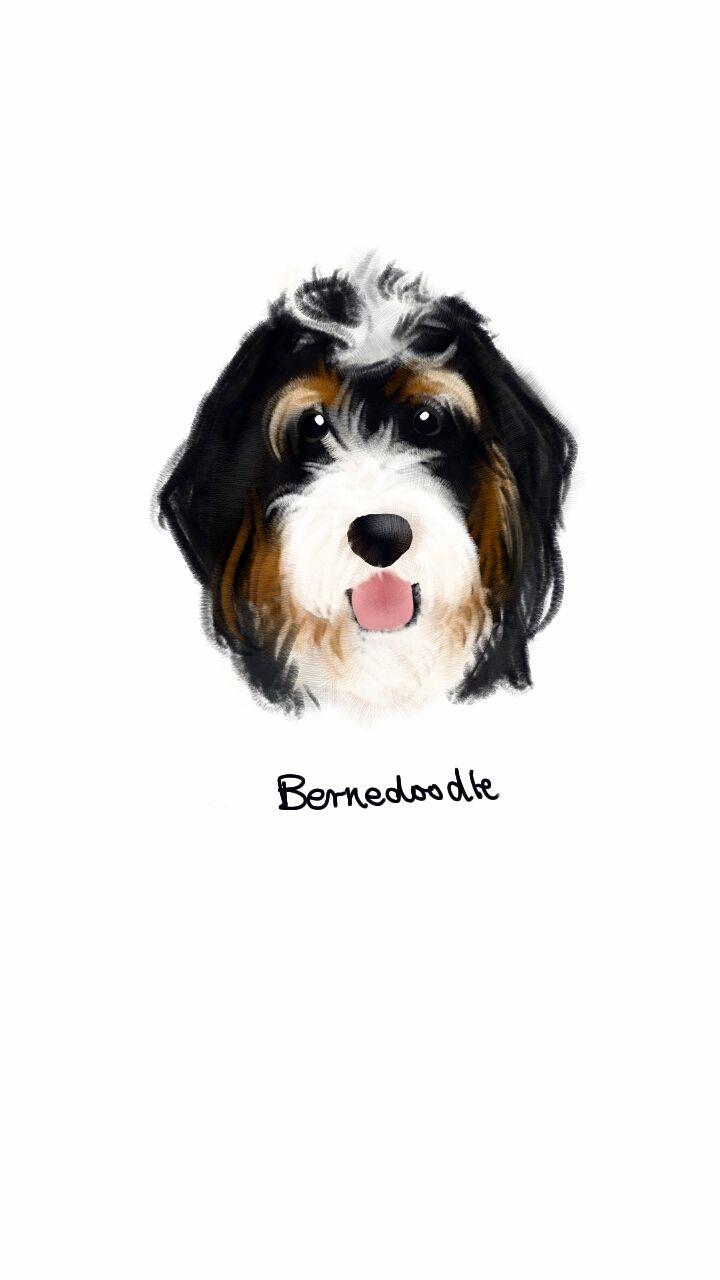 720x1280 Olive Branch Boutique. Bernedoodle, Watercolor dog, Dog drawing