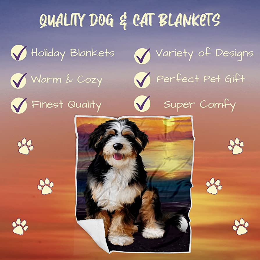 Bernedoodle Wallpapers Top Free Bernedoodle Backgrounds WallpaperAccess