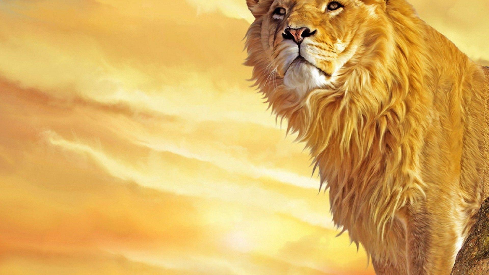 1920x1080 Lion HD Wallpaper