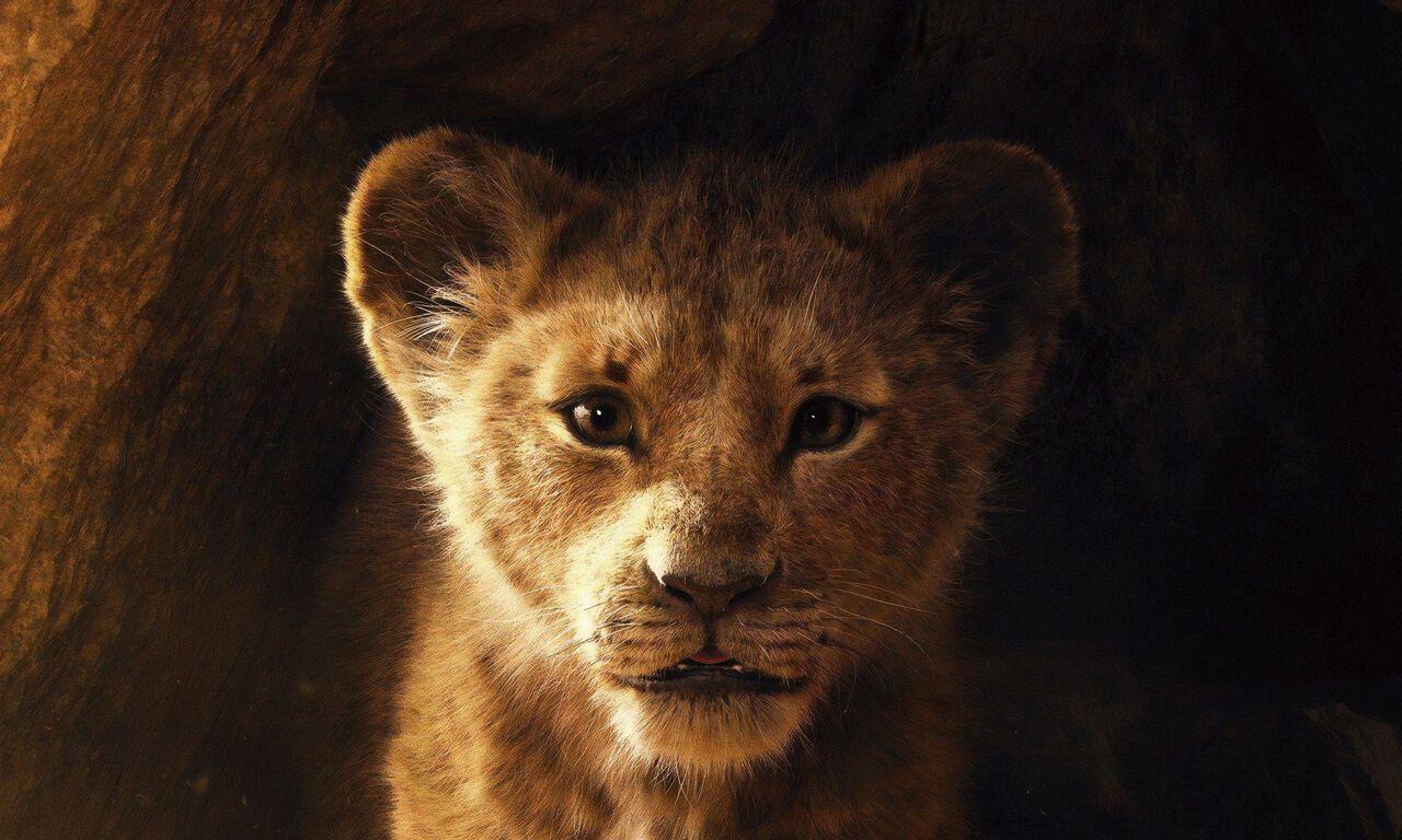 1280x768 The Lion King 2019 HD wallpaper