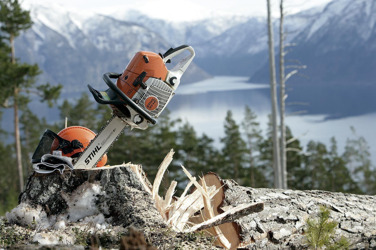 1600x1067 STIHL Wallpaper