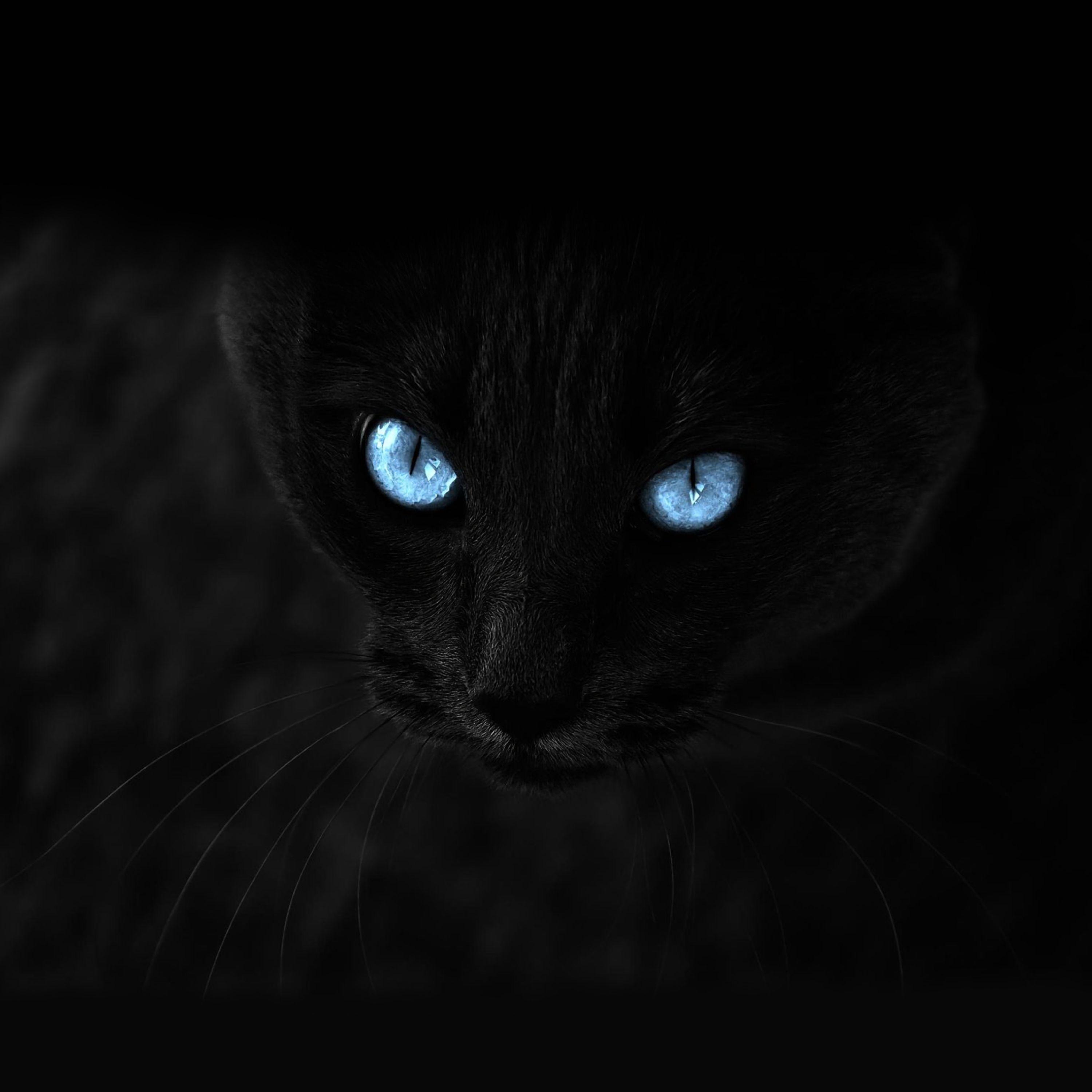 3000x3000 Black wallpaper for your phone, free