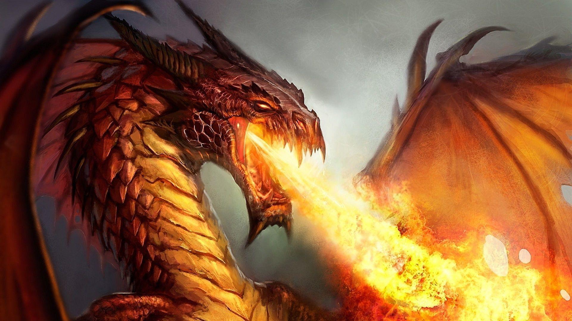 Fire Dragon Wallpapers - Top Free Fire Dragon Backgrounds - WallpaperAccess