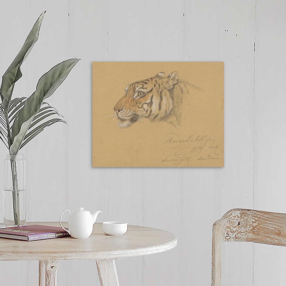 1000x1000 Head of a Tiger, by Raden Saleh, Indonesian water color painting Wall Art, Canvas Prints, Framed Prints, Wall Peels. Great Big Canvas
