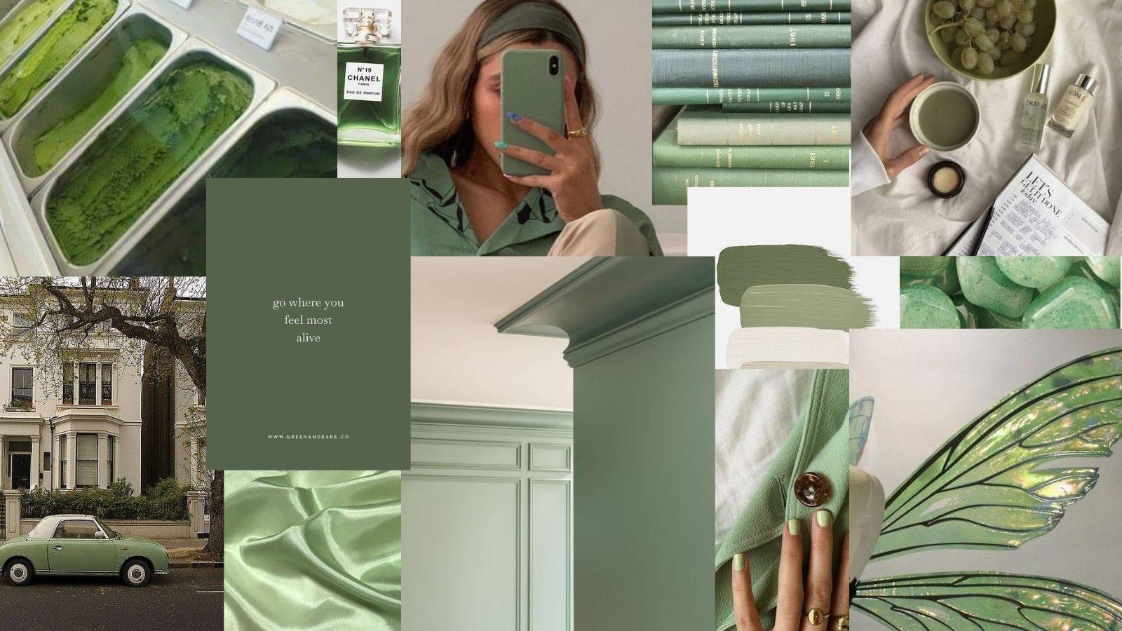 1600x900 Download Sage Green Random Collage Pinterest Aesthetic Wallpaper