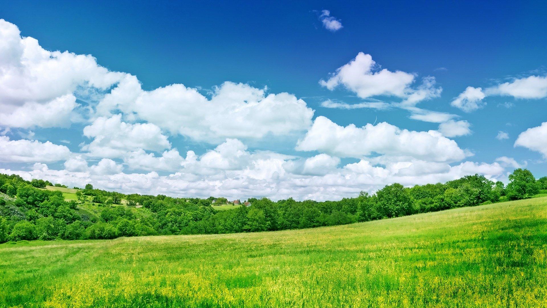 1920x1080 Nature Grass Green Field HD Wallpaper