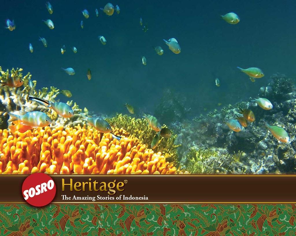 1024x819 Wallpaper Bunaken Sosro. The Bunaken National Park is a mar