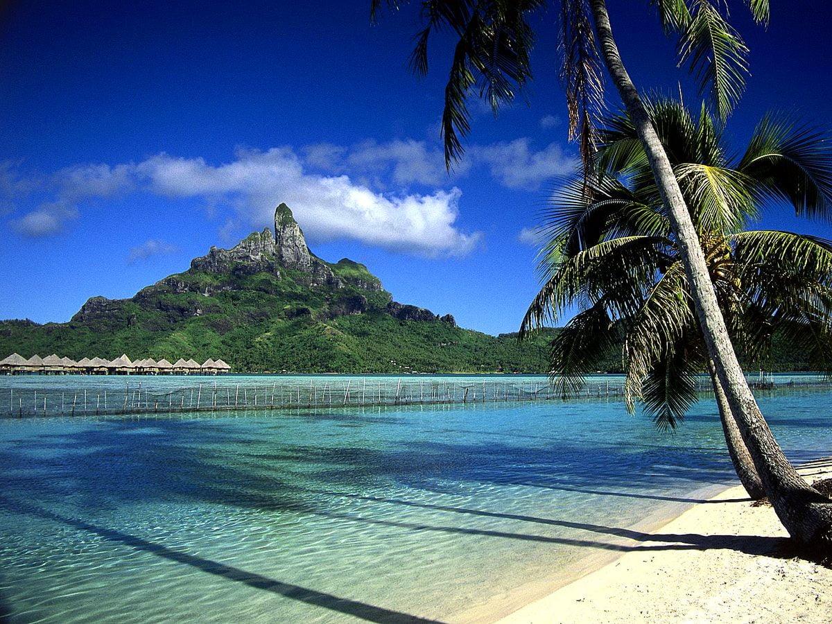 1200x900 Bunaken National Marine Park, Indonesia, Fish wallpaper. Free TOP wallpaper
