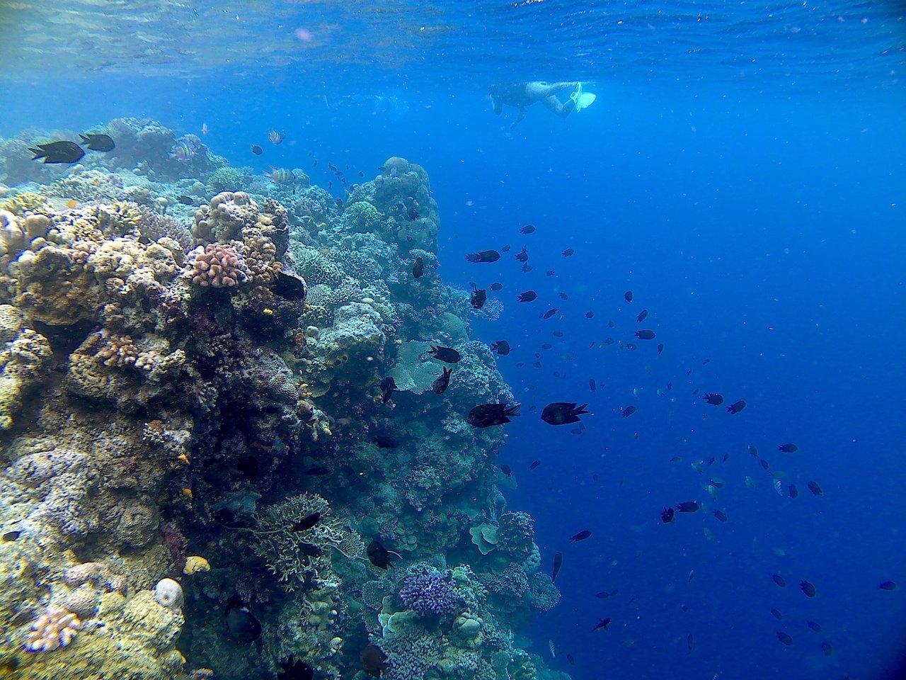 1280x960 Bunaken Island 2023: Best Places to Visit