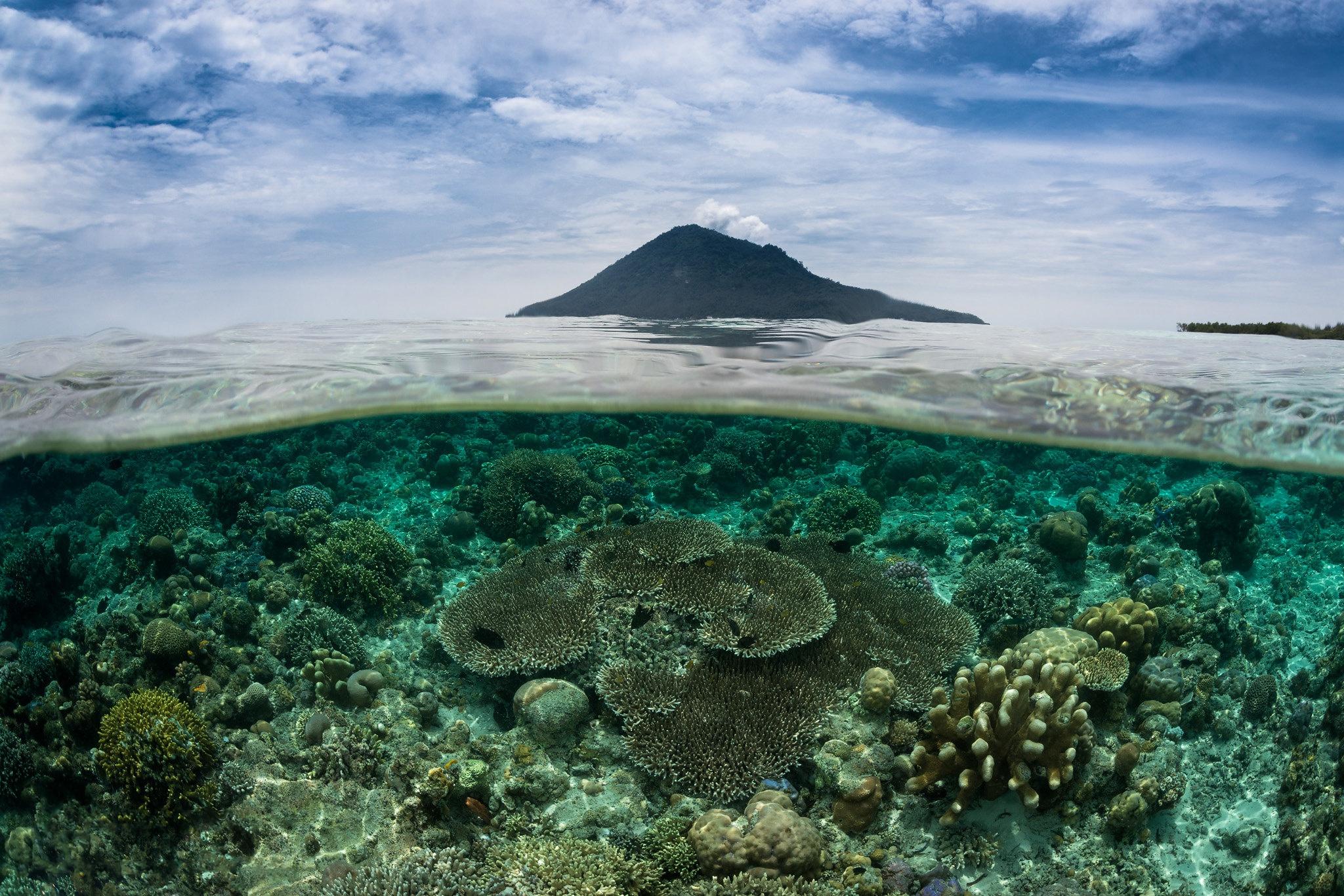 2048x1367 Underwater HD Wallpaper