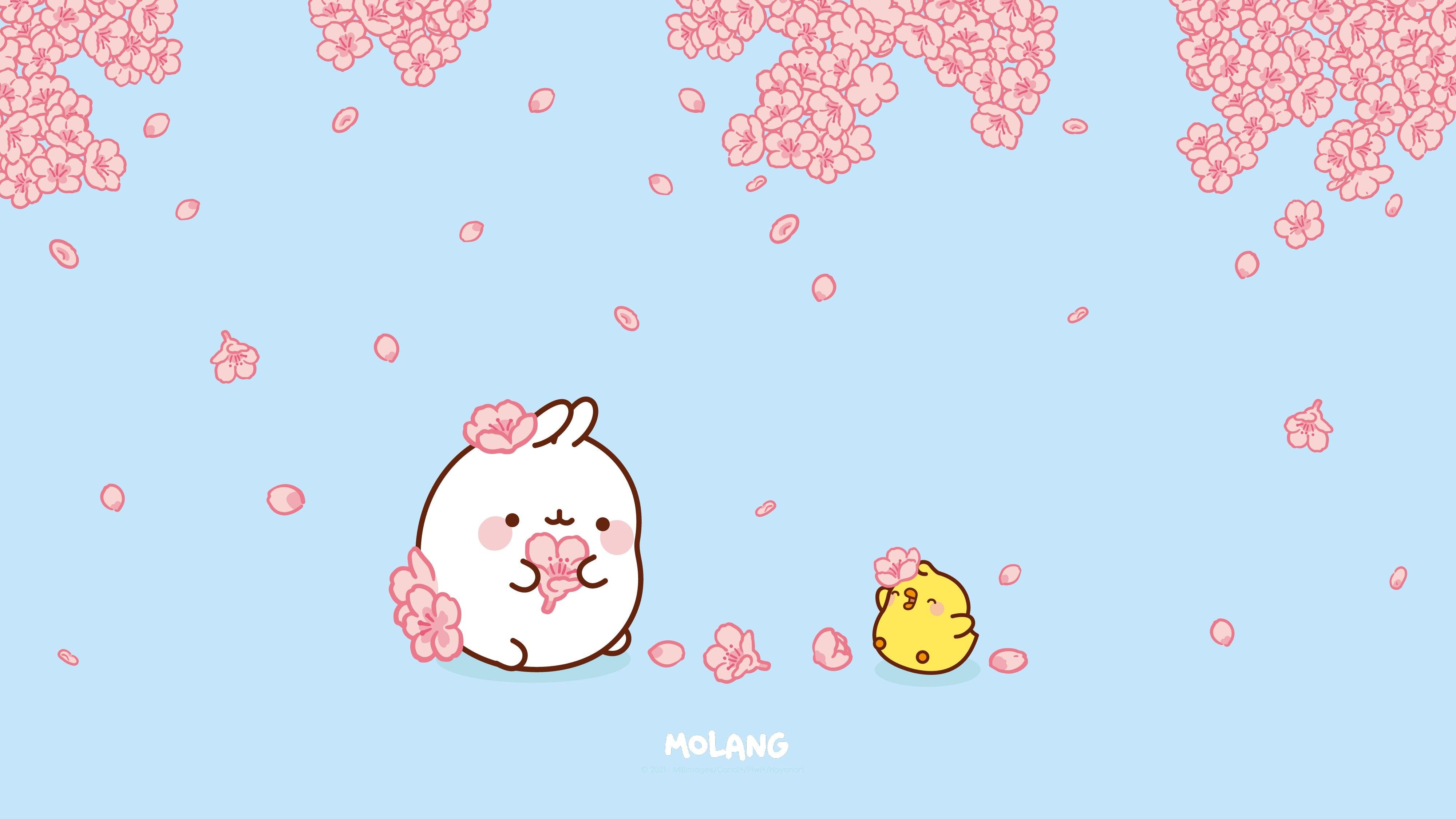 Molang animals anime cute kawaii HD phone wallpaper  Peakpx