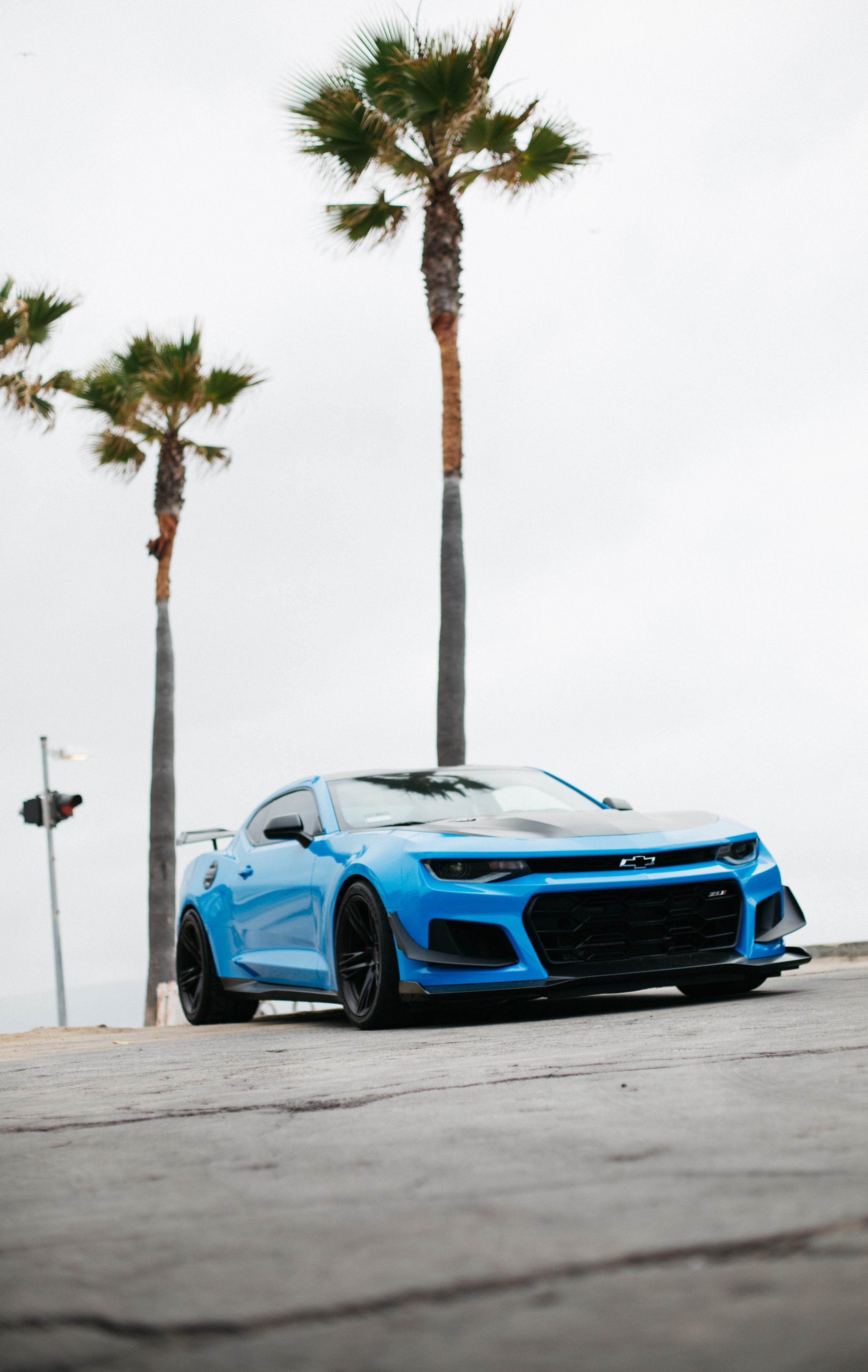 2515x3975 After weeks of cars slipping right through my fingers, finally got my hands on a ZL1 1LE on Friday. Had to learn how to drive a manual beforehand, but it was well