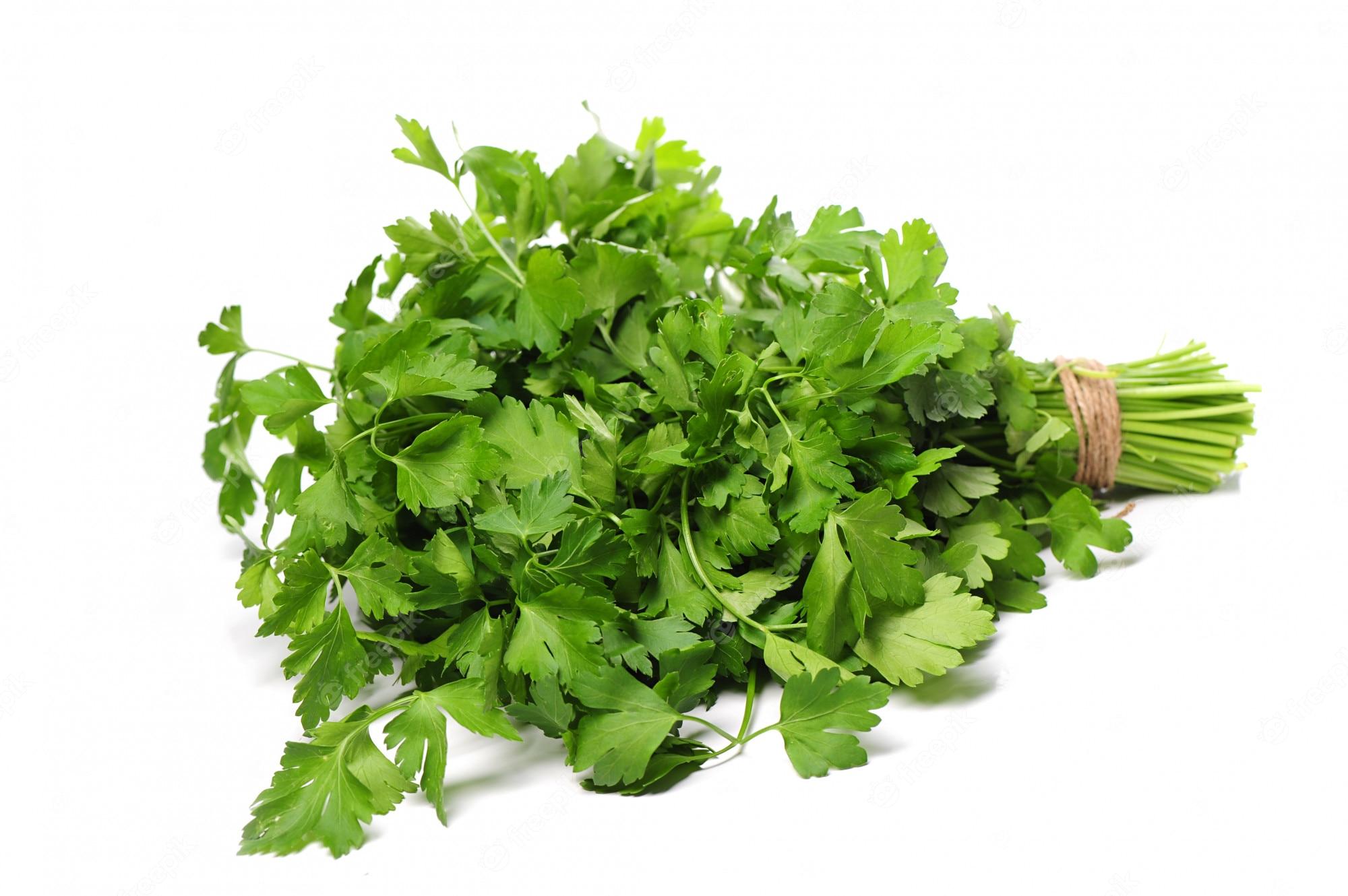 2000x1330 Coriander Leaves Image