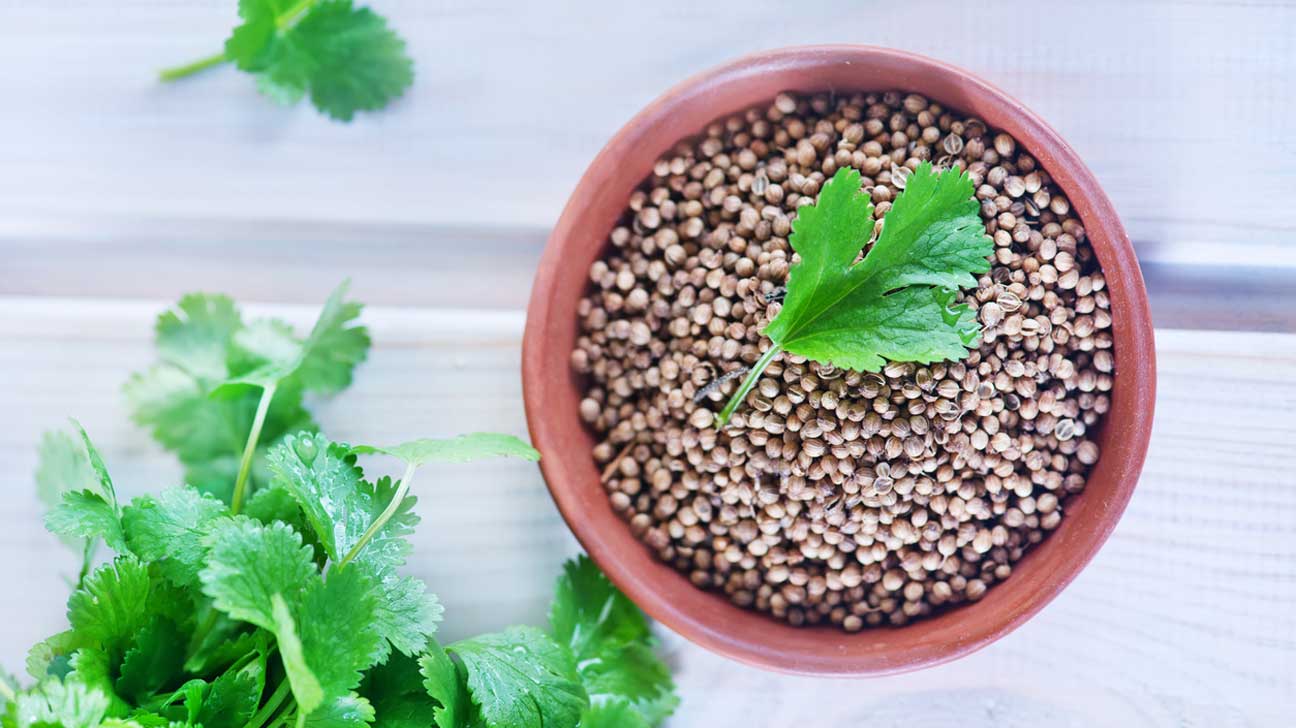 1296x728 Cilantro vs Coriander: What's the Difference?