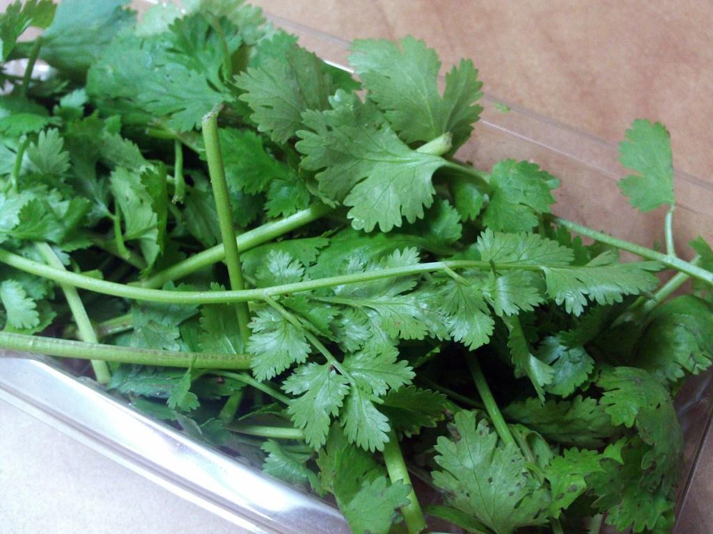 1024x768 Interesting Facts About Cilantro Coriander Leaves