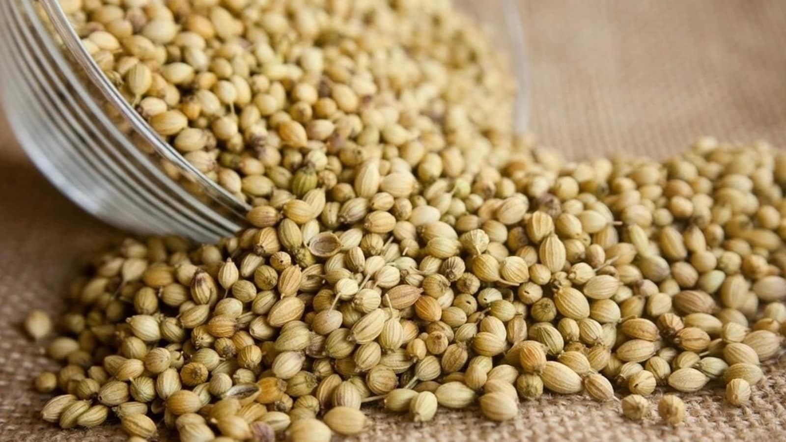 Coriander Wallpapers - Top Free Coriander Backgrounds - WallpaperAccess