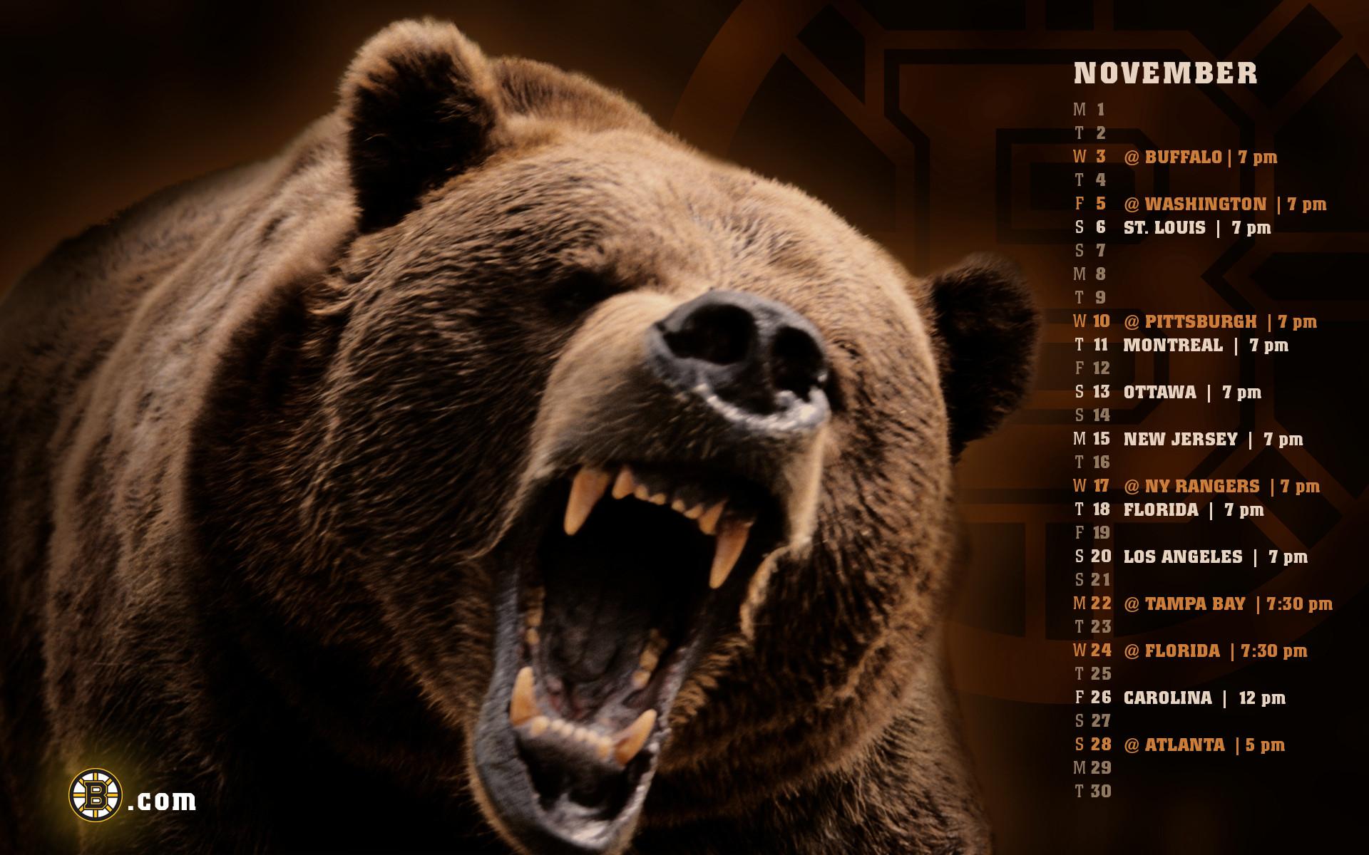 1920x1200 Grizzly Bear Wallpaper