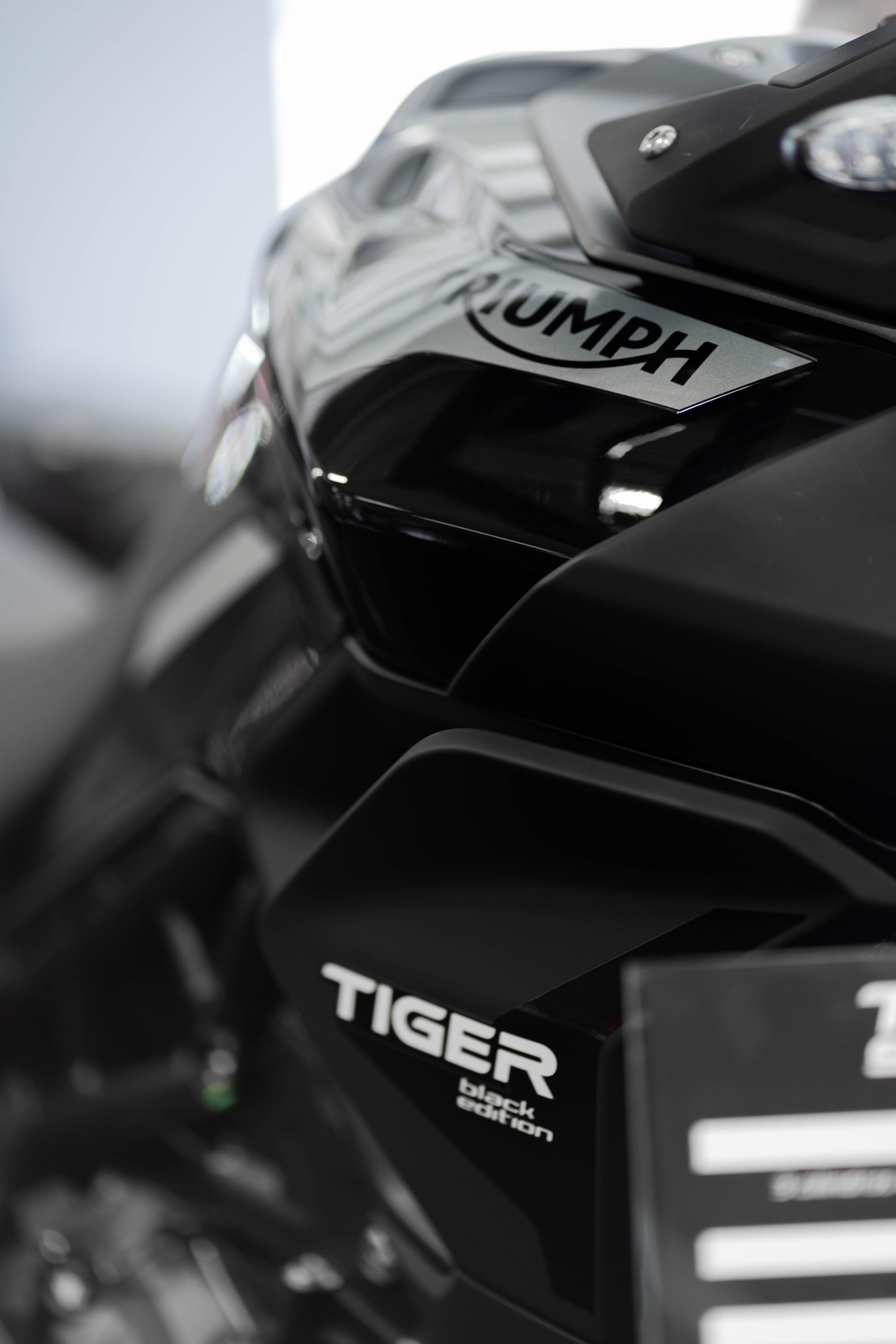 4000x6000 Triumph Motorcycle Photo, Download The BEST Free Triumph Motorcycle & HD Image