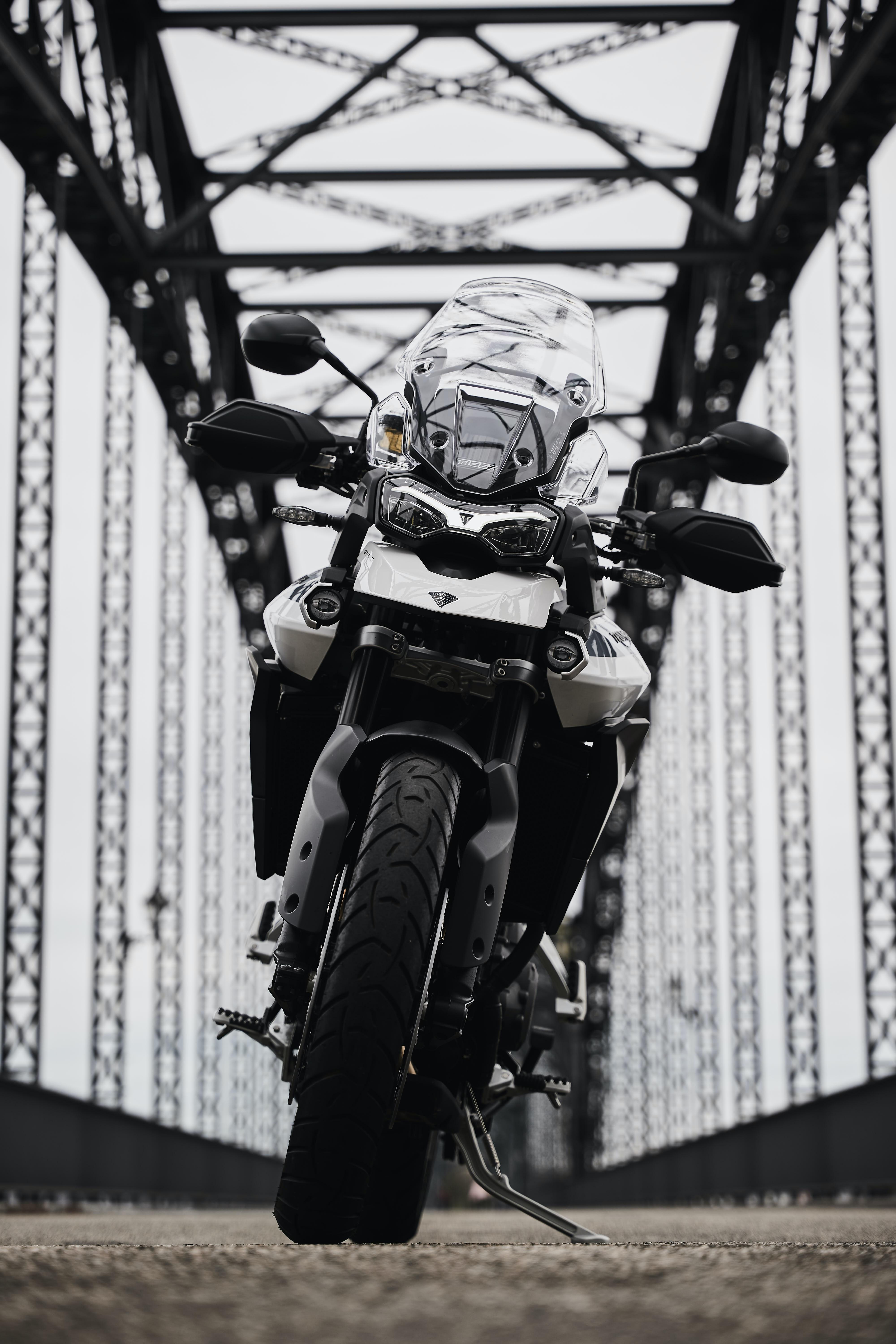 4000x6000 Mobile wallpaper: Triumph Tiger Motorcycles, Bike, Triumph, Motorcycle, Front View, 145117 download the picture for free