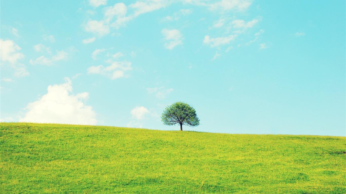 Small Tree Wallpapers Top Free Small Tree Backgrounds WallpaperAccess