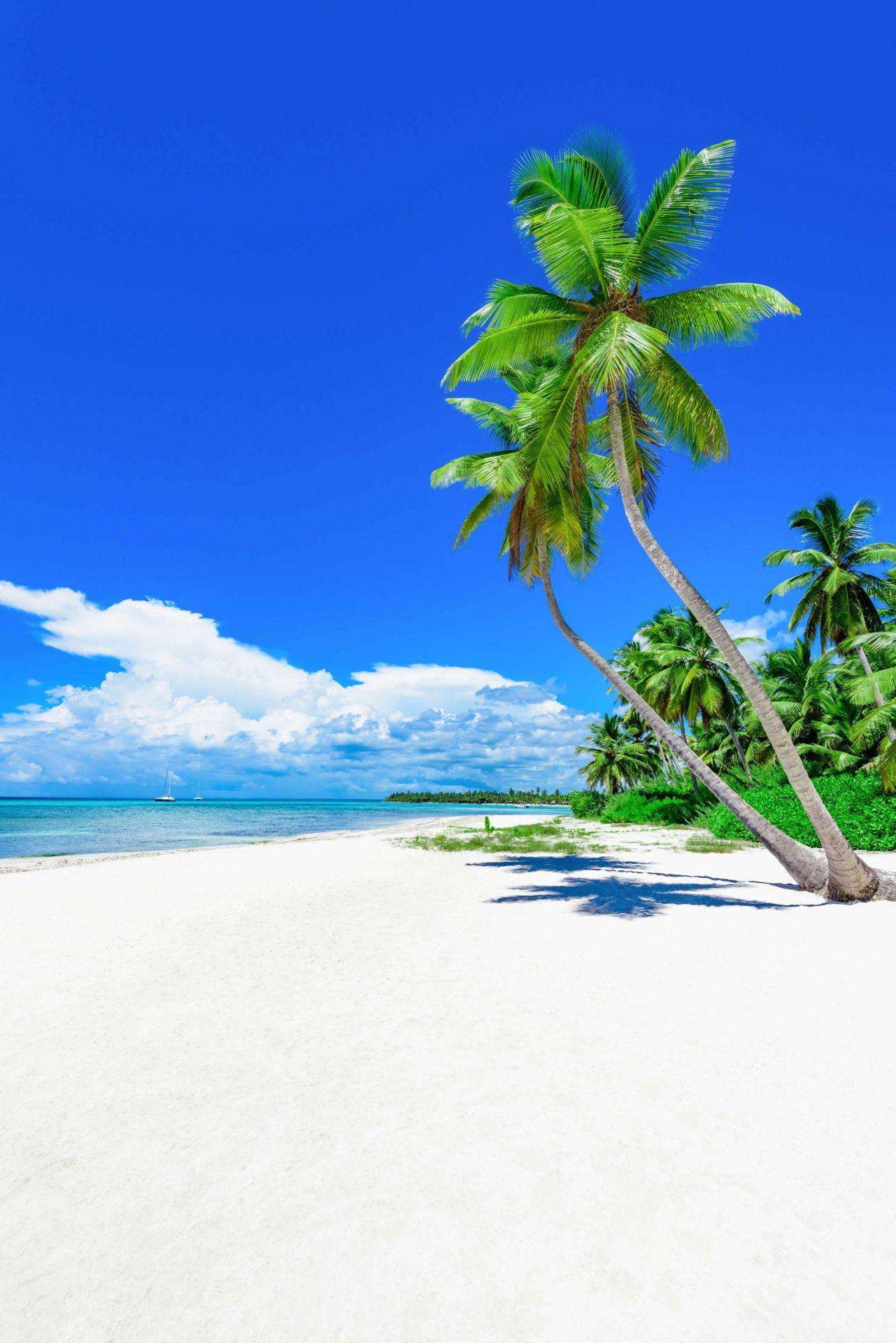 1281x1920 Heavenly tropical beach