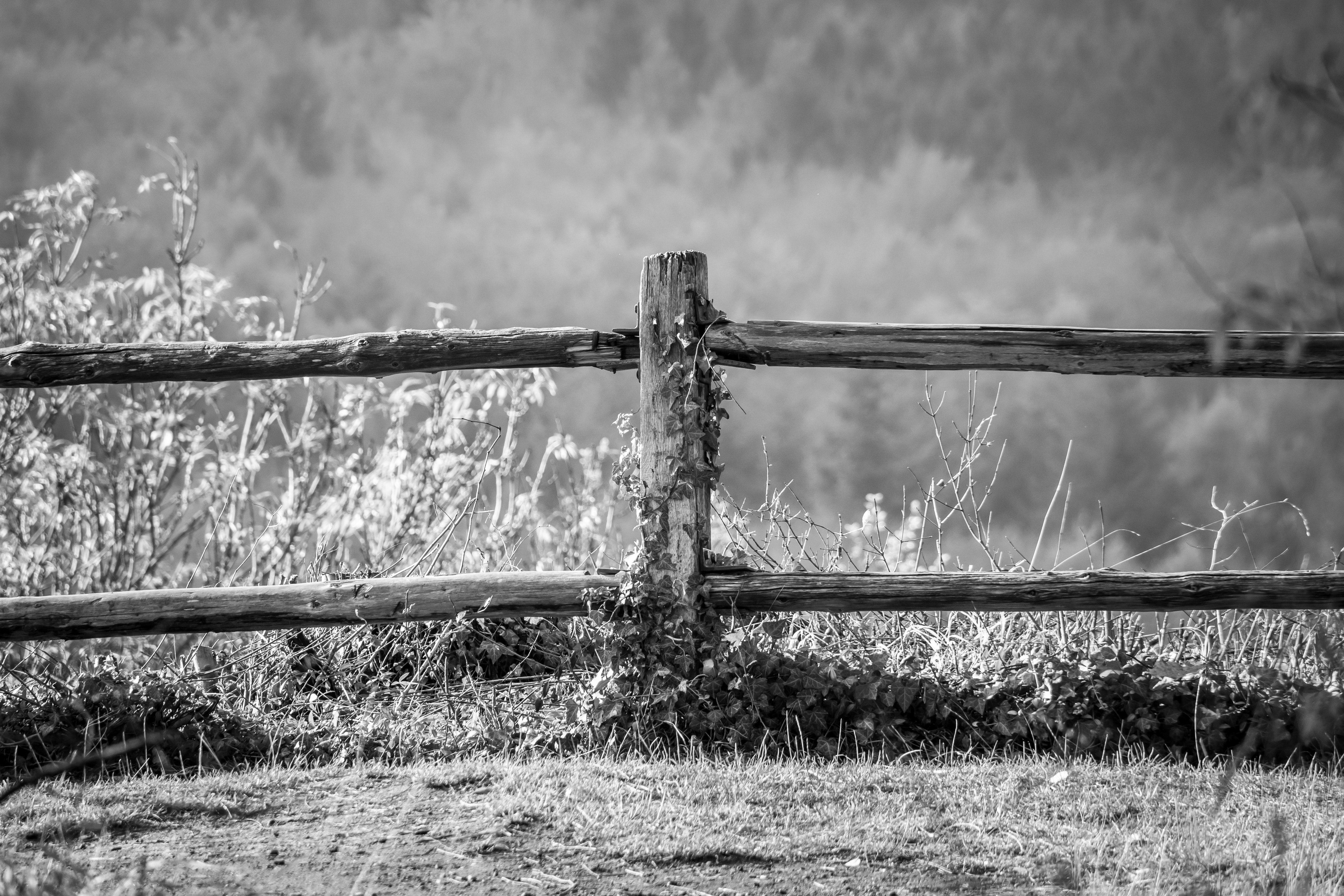5408x3605 Beautiful Black And White Background Photo · · Free