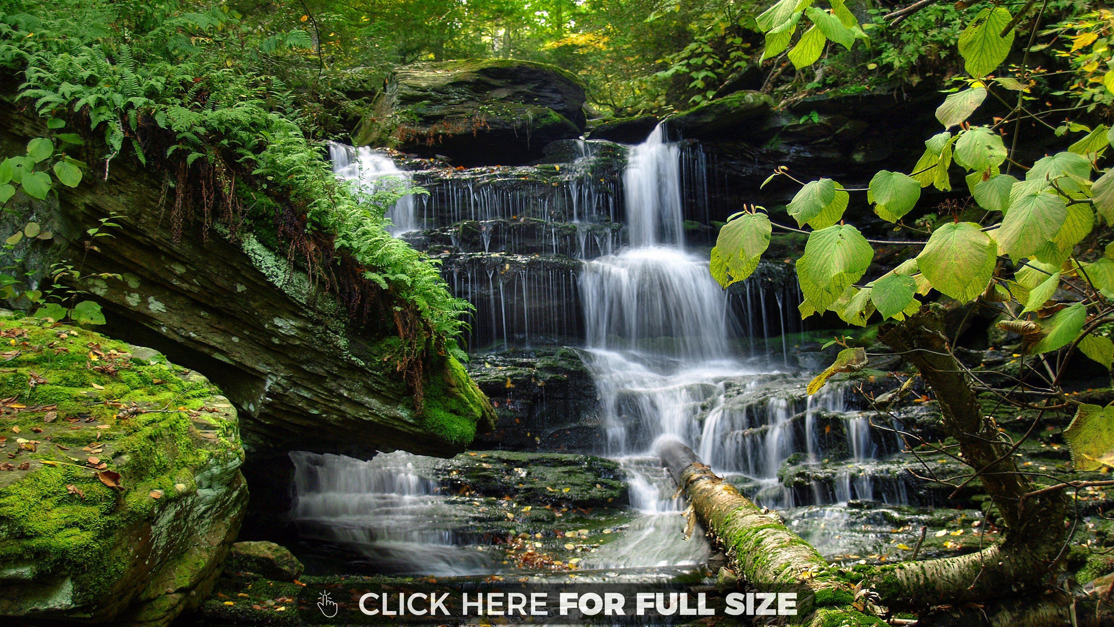 3840x2160 Free download 8k Ultra HD Nature Wallpaper b5t6y44 Best HD Nature Wallpaper [3840x2160] for your Desktop, Mobile & Tablet. Explore 8K Ultra HD Beautiful WallpaperK HD Wallpaper, 8K