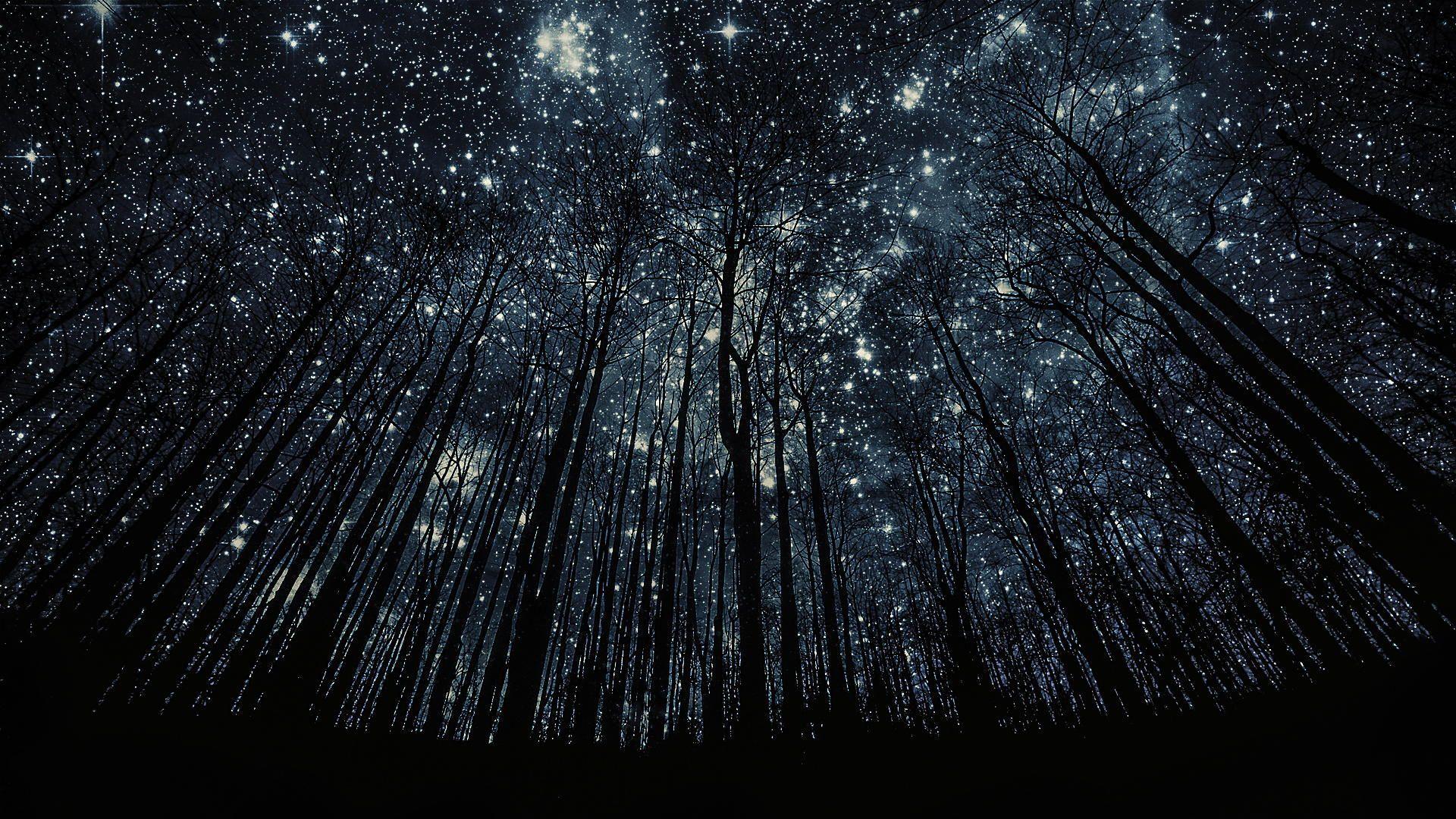 1920x1080 Free Desktop Starry Night Wallpaper