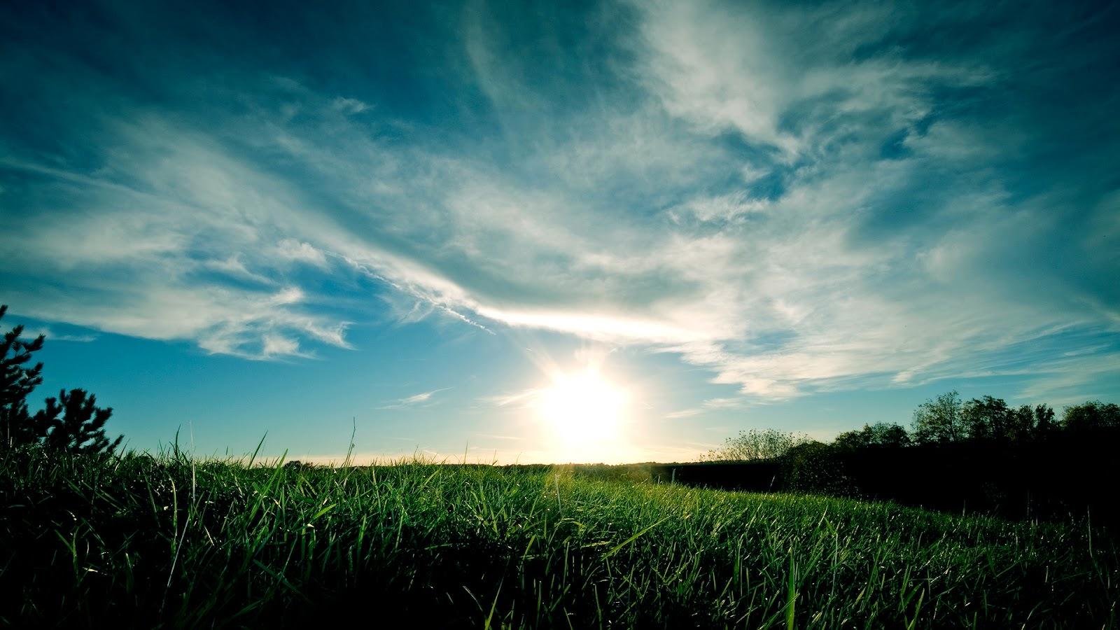 1600x900 Best Nature Full HD Wallpaper Background Laptop Desktop Interiors & Building Ltd