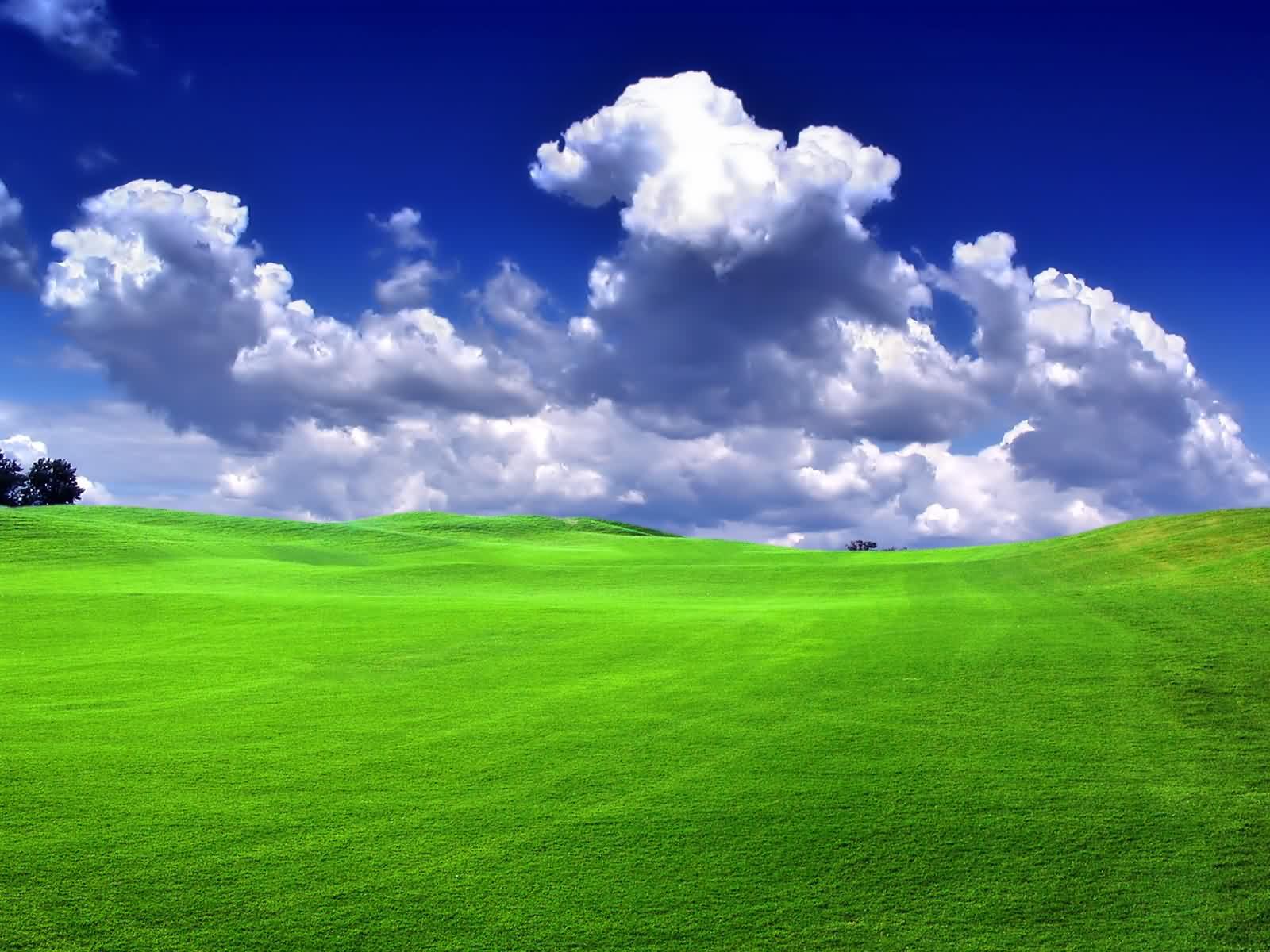 1600x1200 Nature Wallpaper for Laptop