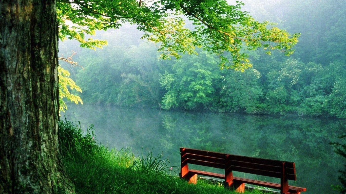1366x768 Nature desktop wallpaper, Nature desktop, HD nature wallpaper
