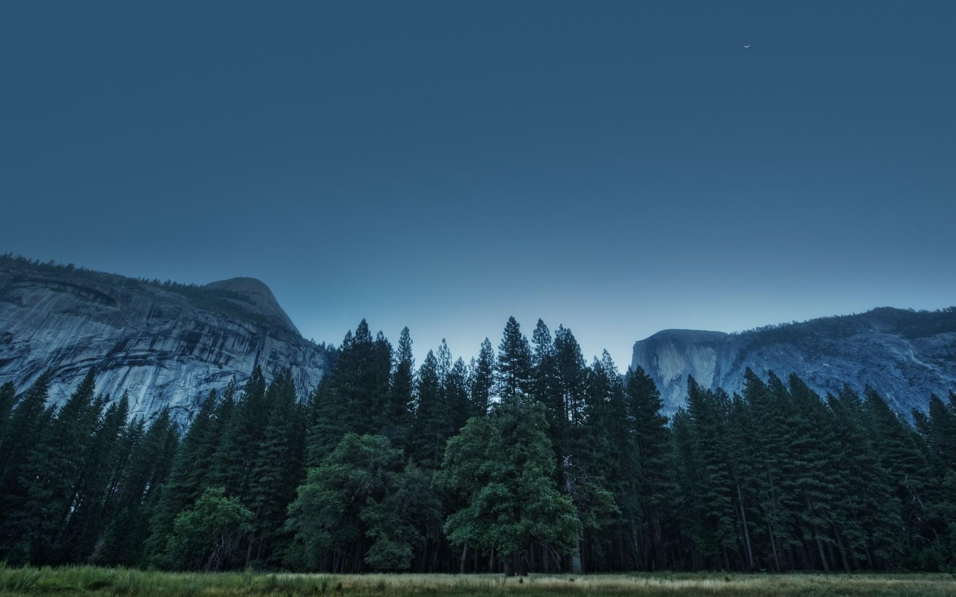 1920x1200 nature, 1920x1200 Gallery HD Wallpaper