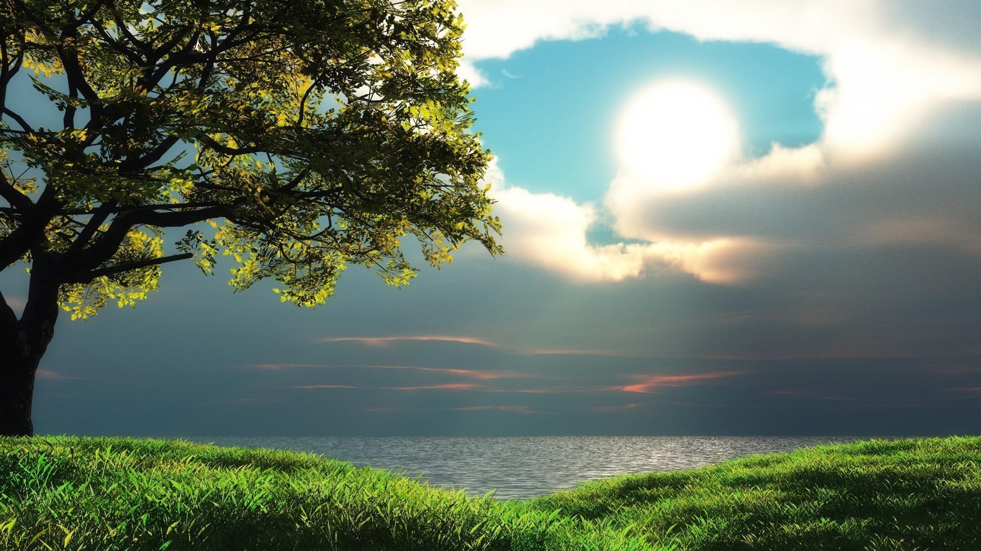 1920x1080 wow [19201080]. Nature desktop wallpaper, HD nature wallpaper, Best nature wallpaper hd