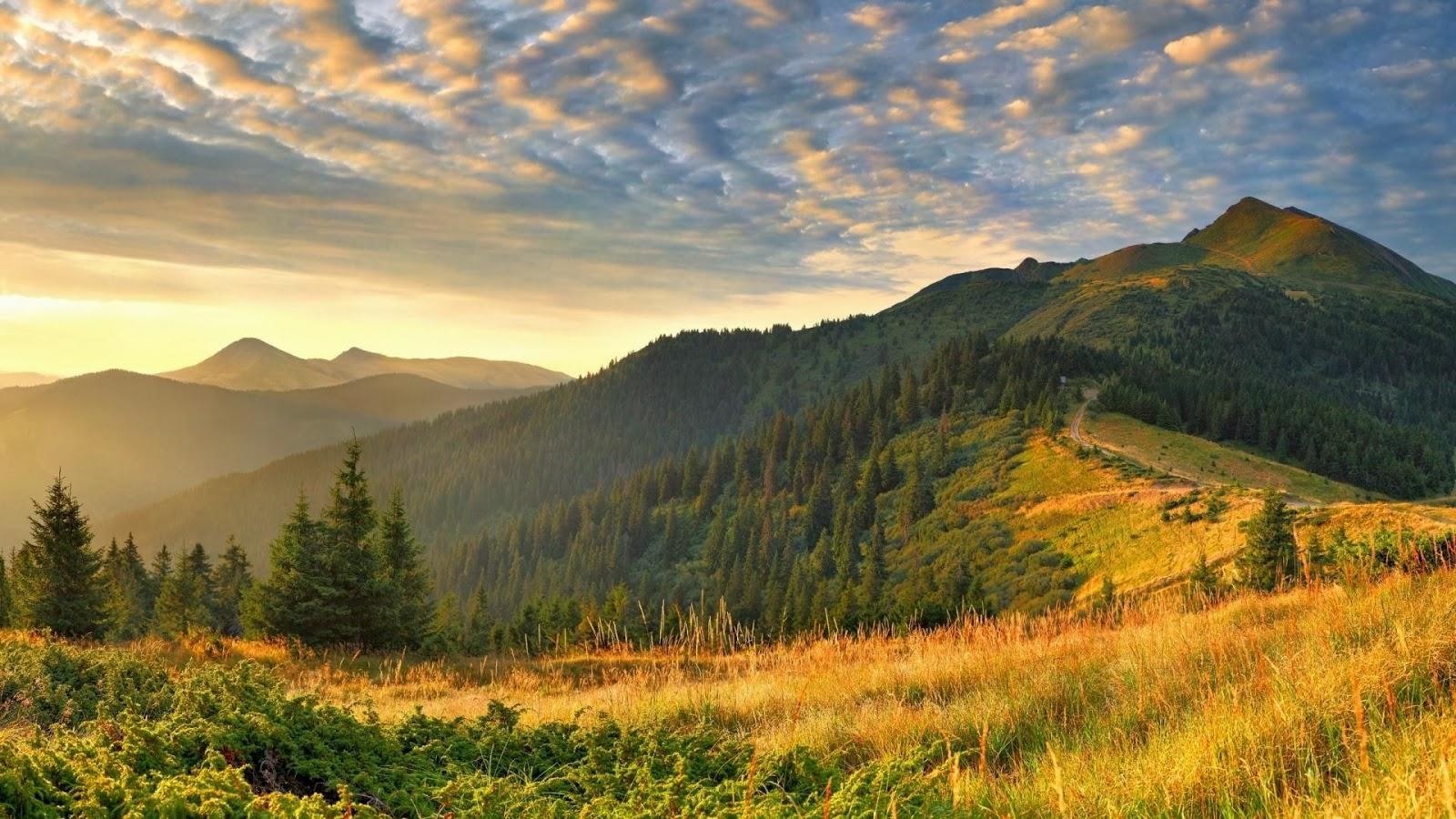 1600x900 Free download Free Nature Best Full HD Nature Background Wallpaper For Laptop [1600x900] for your Desktop, Mobile & Tablet. Explore Nature Wallpaper for Laptop. Cool Background For Laptop, Wallpaper