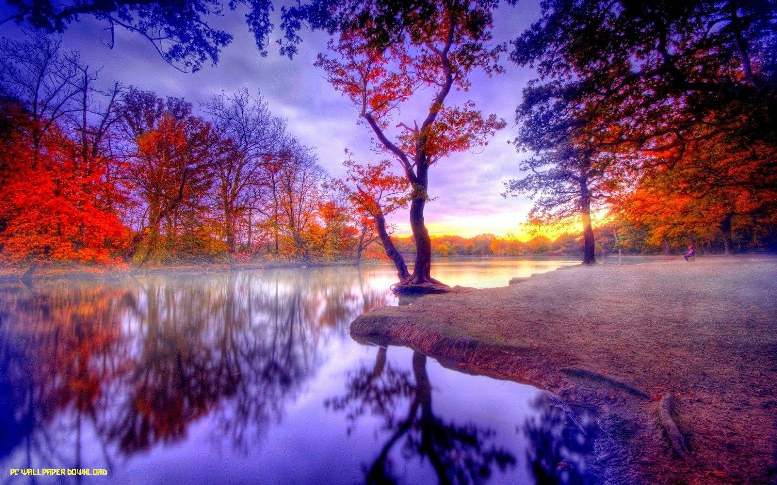 1552x970 Nature Laptop Wallpaper
