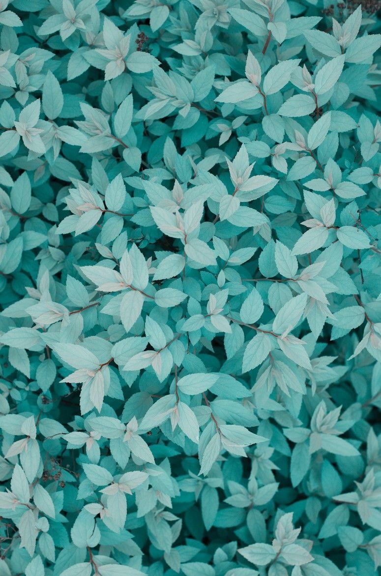 Turquoise Aesthetic Desktop Wallpaper / Image result for aesthetic