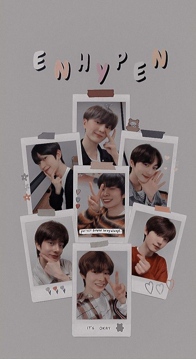 666x1219 Enhypen Wallpaper
