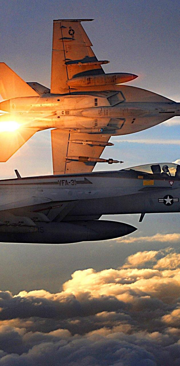 630x1280 F 18 Super Hornet Wallpaper