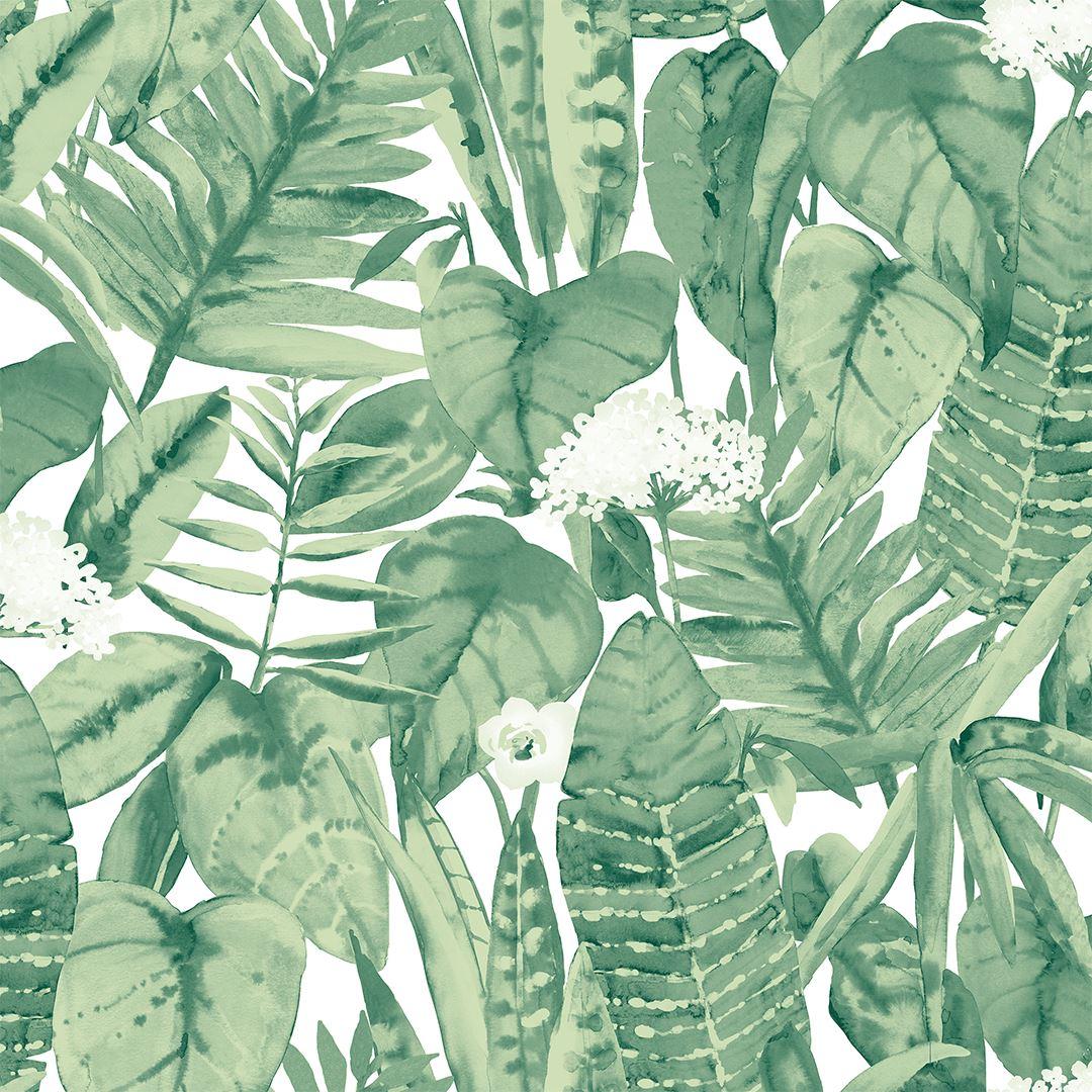 1080x1080 Tropical Jungle Wallpaper. Jungle Wallpaper for Nursery