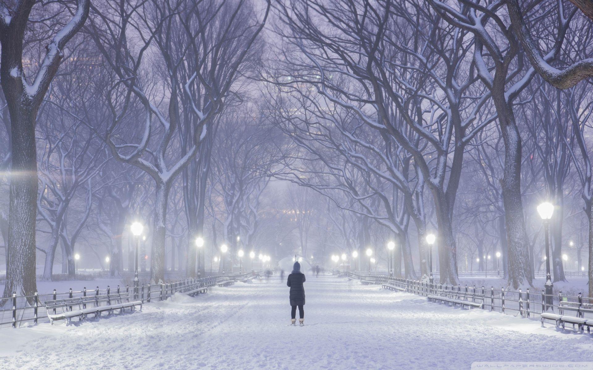 1920x1200 Central Park, New York City, Winter Background ❤ 4K HD Desktop