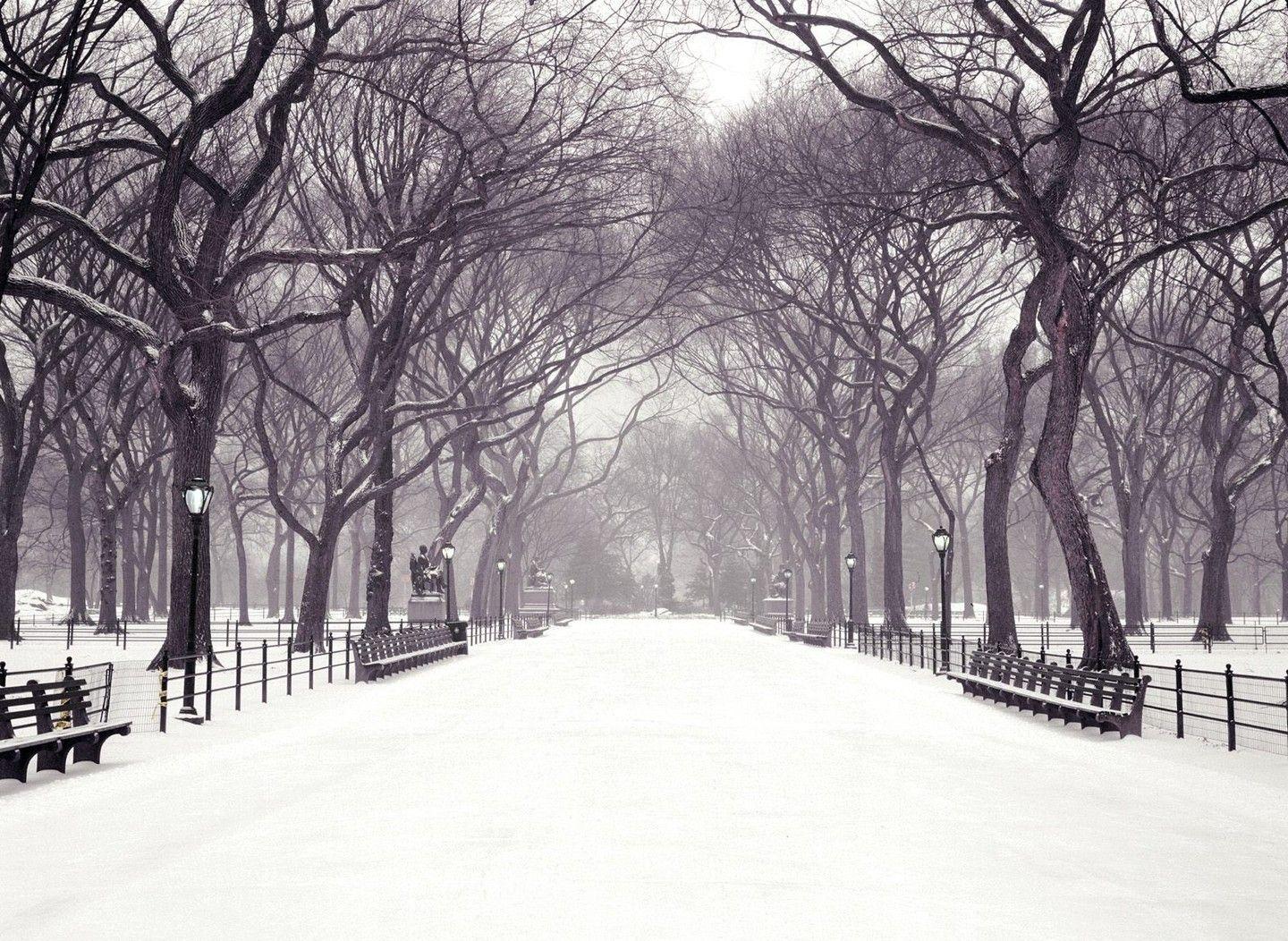 Winter In Central Park New York Wallpapers Top Free Winter In