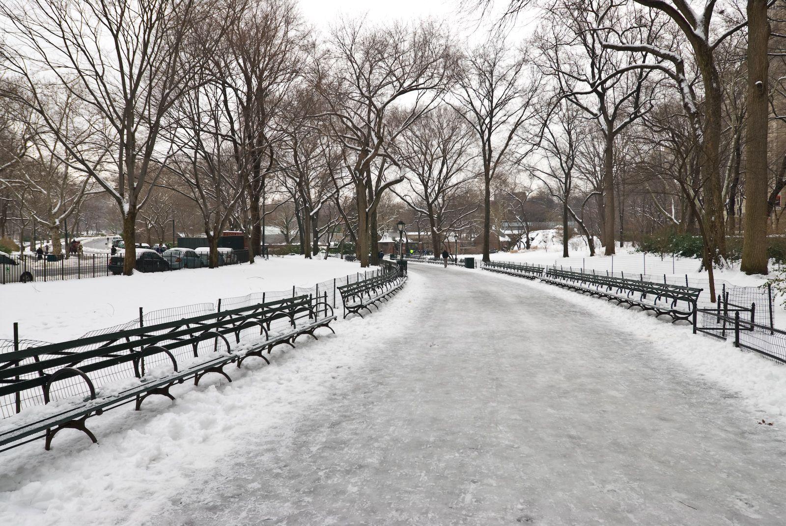 1600x1071 New York image Central Park, New York in Winter HD wallpaper