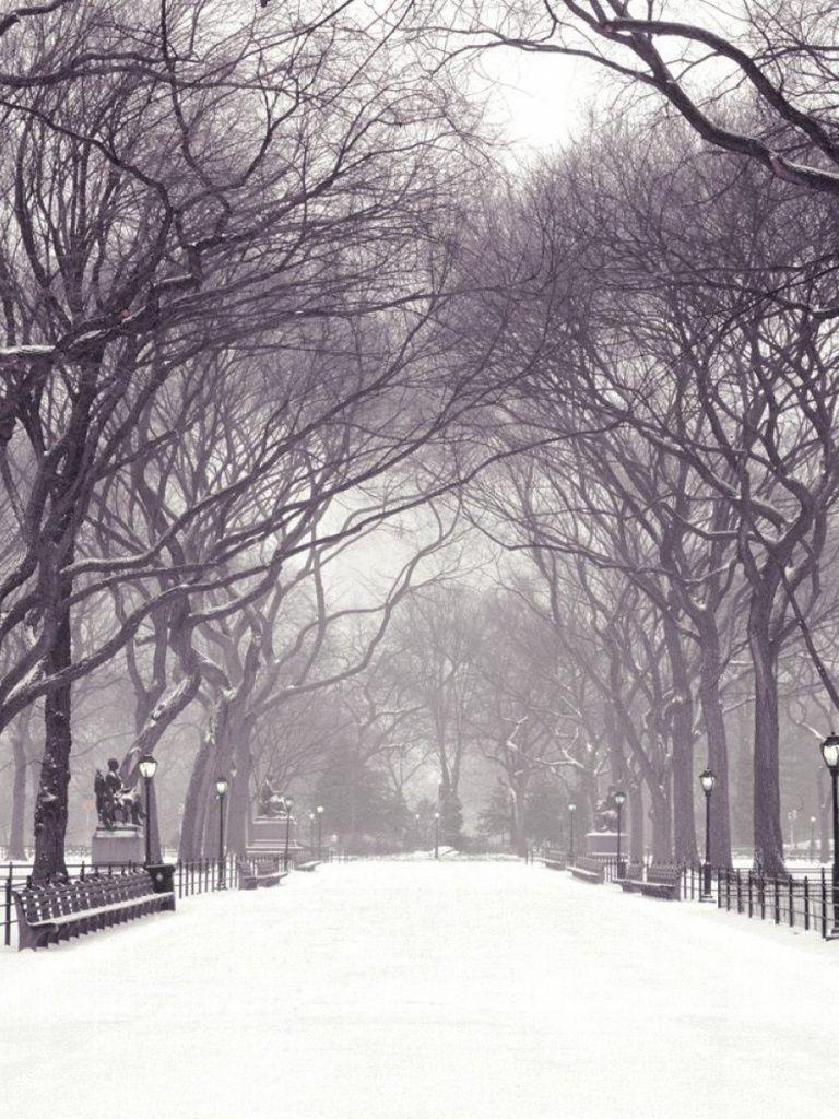 768x1024 Central Park New York Four iPad mini wallpaper